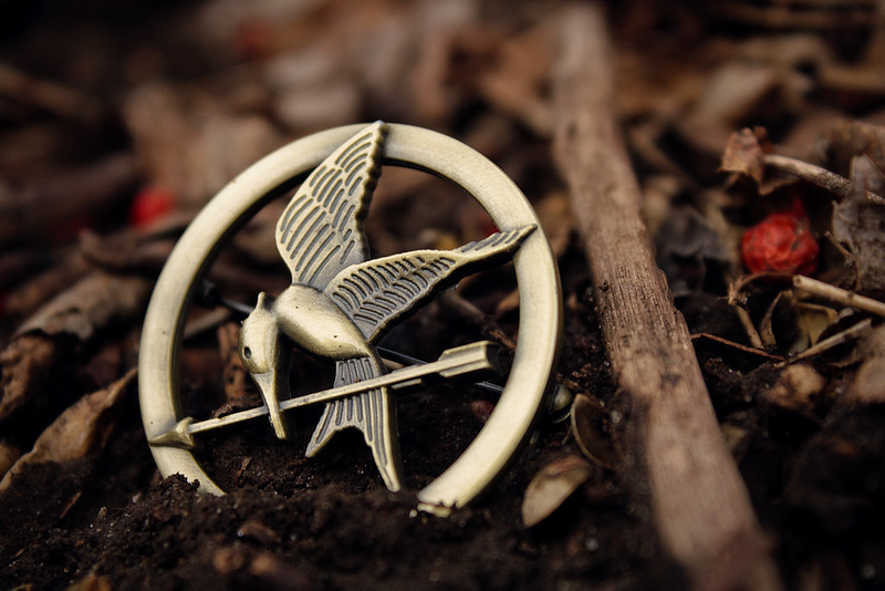 using-the-hunger-games-for-a-cross-curricular-book-project-reading